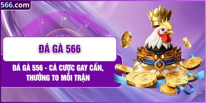 Đá Gà 566 - Cá Cược Gay Cấn, Thưởng To Mỗi Trận