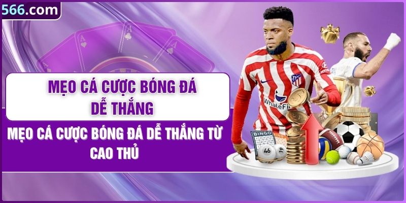 Mẹo Cá Cược Bóng Đá Dễ Thắng Từ Cao Thủ