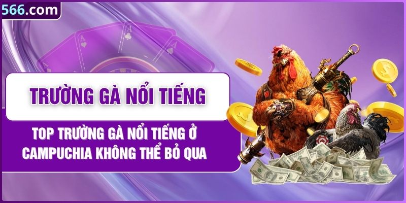 Top Trường Gà Nổi Tiếng Ở Campuchia Không Thể Bỏ Qua